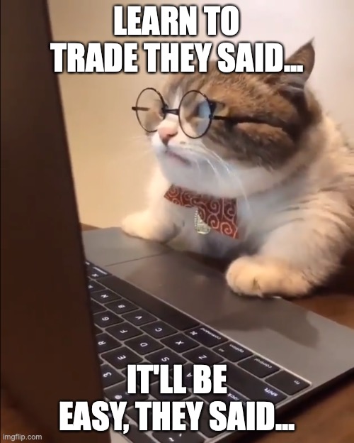 Learn to trade cat | LEARN TO TRADE THEY SAID... IT'LL BE EASY, THEY SAID... | image tagged in research cat | made w/ Imgflip meme maker