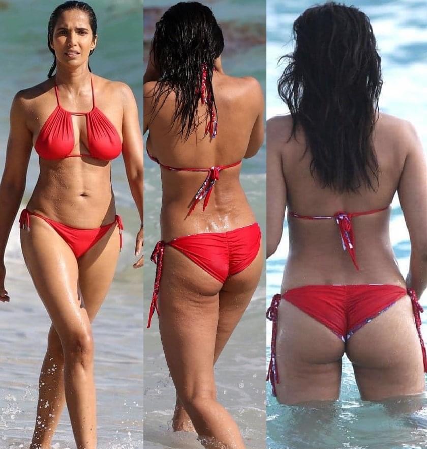 Padma Lakshmi Blank Meme Template