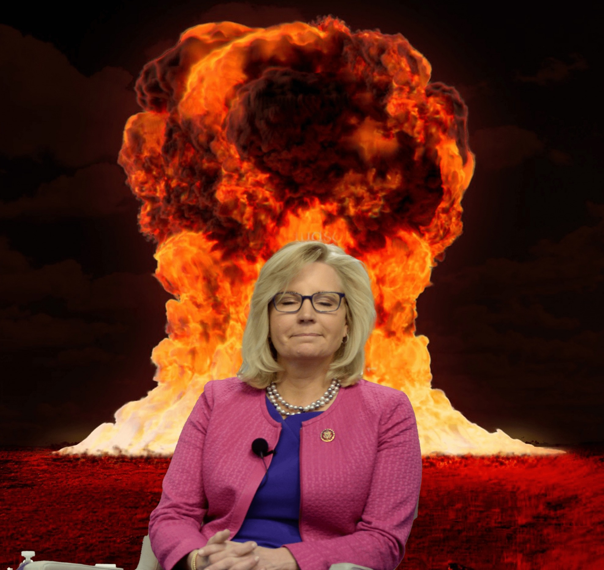 High Quality Liz Cheney Blank Meme Template