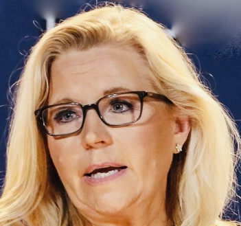 Liz Cheney Blank Meme Template