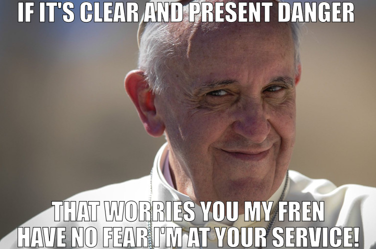 WHEN YOU NEED REAL LEADERSHIP YOU KNOW WHO TO CALL ON! | IF IT'S CLEAR AND PRESENT DANGER; THAT WORRIES YOU MY FREN HAVE NO FEAR I'M AT YOUR SERVICE! | image tagged in miss italia,meme | made w/ Imgflip meme maker