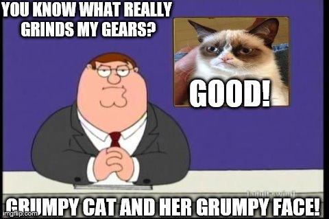 You know what really grinds my gears? | YOU KNOW WHAT REALLY GRINDS MY GEARS? GRUMPY CAT AND HER GRUMPY FACE! GOOD! | image tagged in memes,grumpy cat,you know what really grinds my gears | made w/ Imgflip meme maker