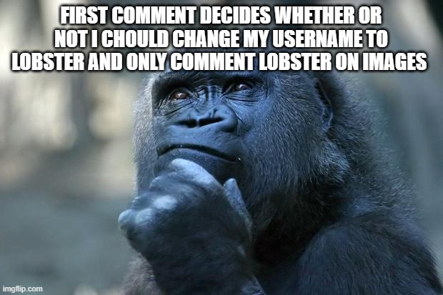 Deep Thoughts | FIRST COMMENT DECIDES WHETHER OR NOT I CHOULD CHANGE MY USERNAME TO LOBSTER AND ONLY COMMENT LOBSTER ON IMAGES | image tagged in deep thoughts | made w/ Imgflip meme maker