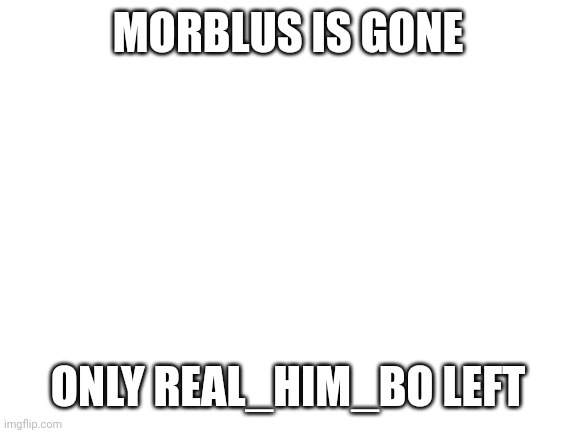 im not making fun of morblus btw | MORBLUS IS GONE; ONLY REAL_HIM_BO LEFT | image tagged in blank white template | made w/ Imgflip meme maker