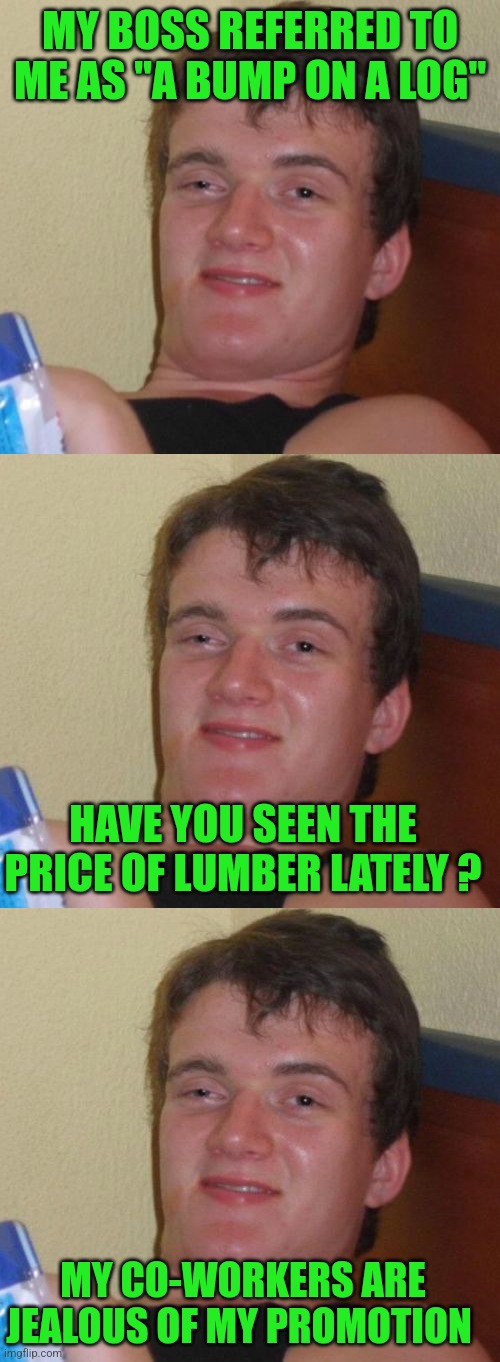 Wood In A Jar |  MY BOSS REFERRED TO ME AS "A BUMP ON A LOG"; HAVE YOU SEEN THE PRICE OF LUMBER LATELY ? MY CO-WORKERS ARE JEALOUS OF MY PROMOTION | image tagged in memes,10 guy,tuesday,fat girl running,toronto blue jays,very woody sound | made w/ Imgflip meme maker