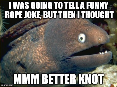 Bad Joke Eel | I WAS GOING TO TELL A FUNNY ROPE JOKE, BUT THEN I THOUGHT MMM BETTER KNOT | image tagged in memes,bad joke eel | made w/ Imgflip meme maker