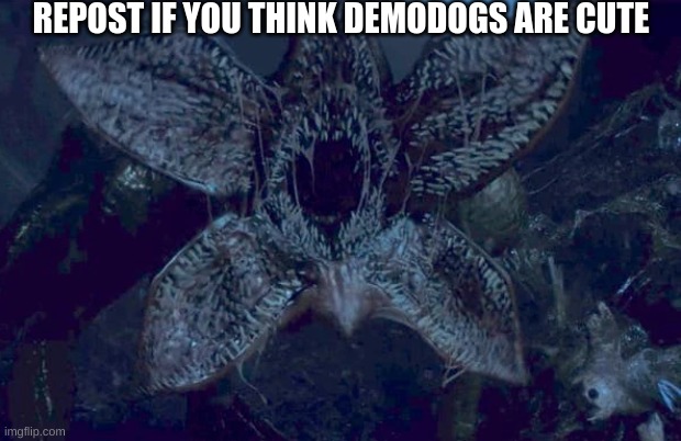 REPOST IF YOU THINK DEMODOGS ARE CUTE | image tagged in stranger things,mouth,repost,doggo,doge,teeth | made w/ Imgflip meme maker