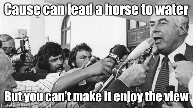 whitlam | Cause can lead a horse to water; But you can’t make it enjoy the view | image tagged in whitlam | made w/ Imgflip meme maker