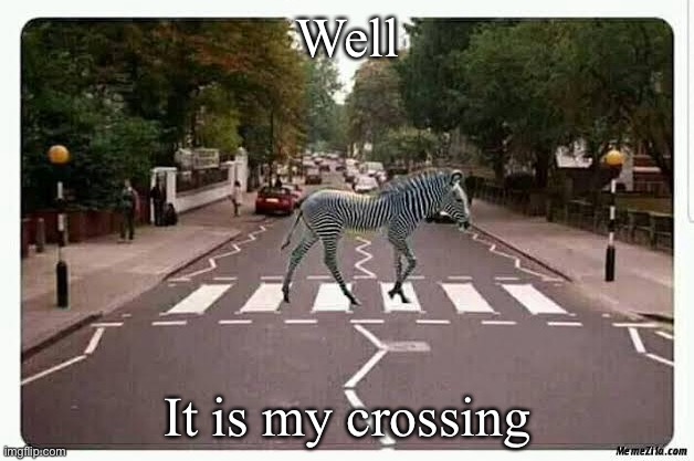 Zebra crossing | Well; It is my crossing | image tagged in zebra,animal crossing,obedient,sign | made w/ Imgflip meme maker