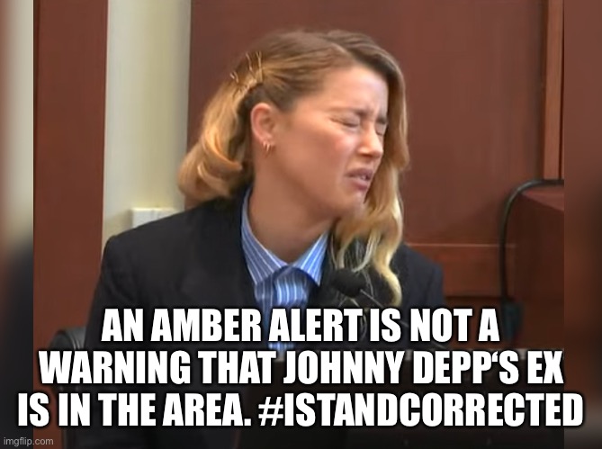Amber Heard Dog Stepped on a Bee | AN AMBER ALERT IS NOT A WARNING THAT JOHNNY DEPP‘S EX IS IN THE AREA. #ISTANDCORRECTED | image tagged in amber heard dog stepped on a bee | made w/ Imgflip meme maker
