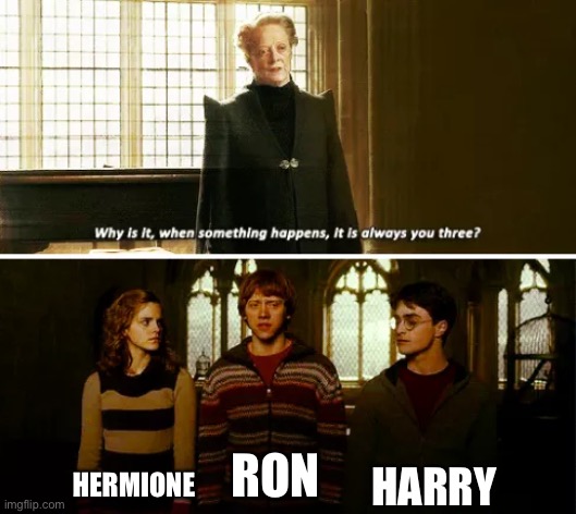 Here's a little something fir those of you who have experienced the movie where Ron and harry scream at a train. | HARRY; HERMIONE; RON | image tagged in always you three | made w/ Imgflip meme maker