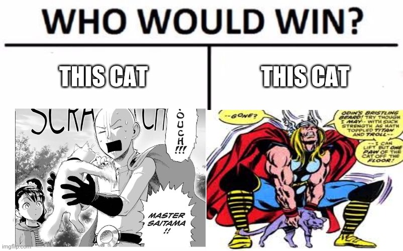 Saitama | THIS CAT; THIS CAT | image tagged in memes,who would win | made w/ Imgflip meme maker