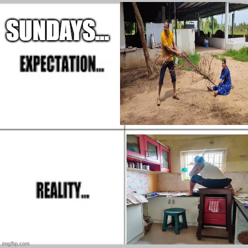 Sundays | SUNDAYS... | image tagged in expectation vs reality | made w/ Imgflip meme maker