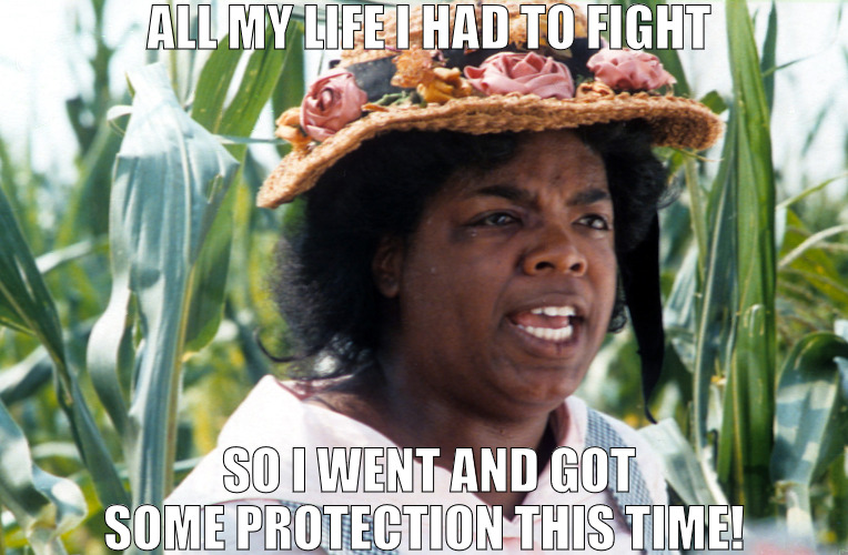 I GOT MONEY NOW WENT GOT ME SOME HIRED HELP! | ALL MY LIFE I HAD TO FIGHT; SO I WENT AND GOT SOME PROTECTION THIS TIME! | image tagged in all my life i had to fight,meme,colorpurple | made w/ Imgflip meme maker