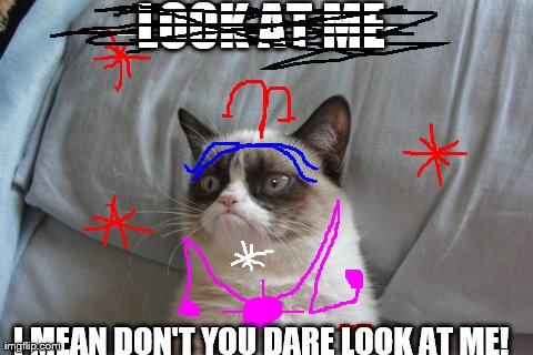 Grumpy Cat Bed Meme | LOOK AT ME I MEAN DON'T YOU DARE LOOK AT ME! | image tagged in memes,grumpy cat | made w/ Imgflip meme maker