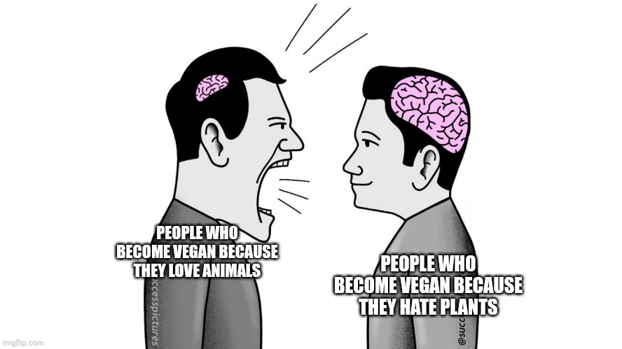 Vegan | PEOPLE WHO BECOME VEGAN BECAUSE THEY LOVE ANIMALS; PEOPLE WHO BECOME VEGAN BECAUSE THEY HATE PLANTS | image tagged in small brain yelling at big brain | made w/ Imgflip meme maker
