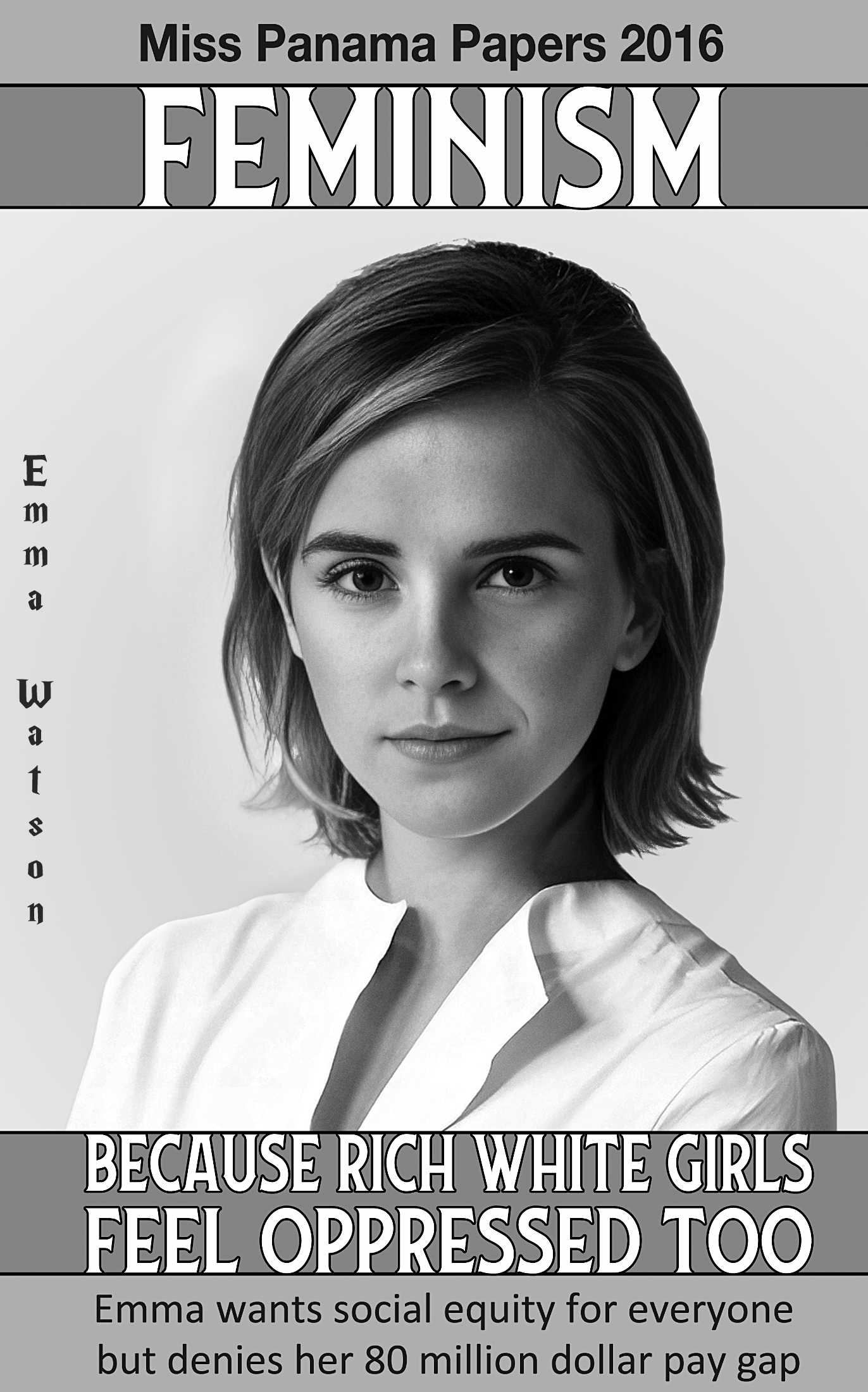 High Quality Feminism by Emma Watson Blank Meme Template