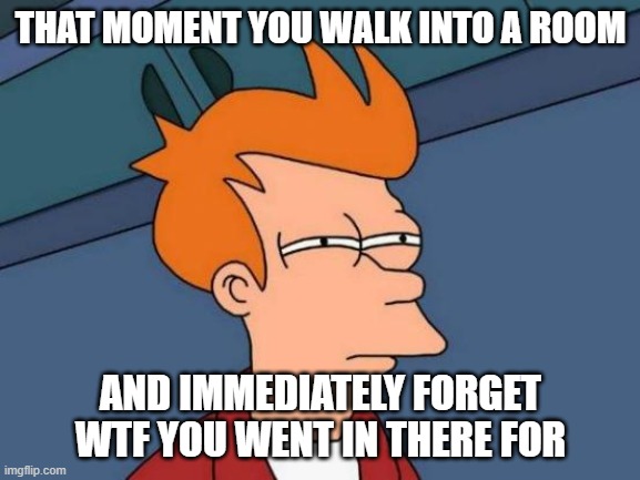 This happens to us all at least once a day | THAT MOMENT YOU WALK INTO A ROOM; AND IMMEDIATELY FORGET WTF YOU WENT IN THERE FOR | image tagged in memes,futurama fry,funny,dank memes | made w/ Imgflip meme maker