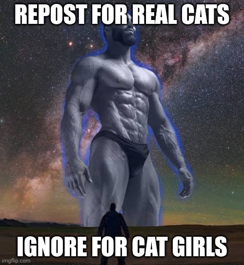 Big gigachad vs small guy | REPOST FOR REAL CATS; IGNORE FOR CAT GIRLS | image tagged in big gigachad vs small guy | made w/ Imgflip meme maker
