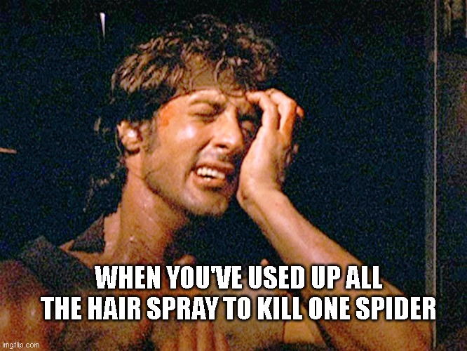 The cost of getting a restful night's sleep | WHEN YOU'VE USED UP ALL THE HAIR SPRAY TO KILL ONE SPIDER | image tagged in rambo,memes,humor,funny,spiders | made w/ Imgflip meme maker