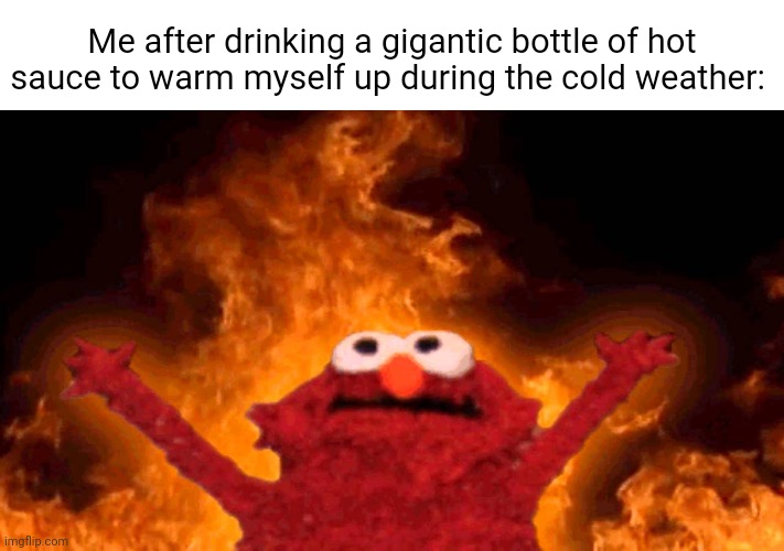 Hot sauce | Me after drinking a gigantic bottle of hot sauce to warm myself up during the cold weather: | image tagged in elmo fire,memes,meme,hot sauce,sauce,cold weather | made w/ Imgflip meme maker