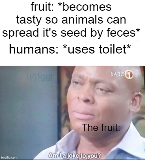 Poor fruit | fruit: *becomes tasty so animals can spread it's seed by feces*; humans: *uses toilet*; The fruit: | image tagged in am i a joke to you | made w/ Imgflip meme maker