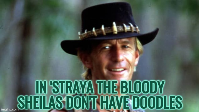Australian Doodles | IN 'STRAYA THE BLOODY SHEILAS DON'T HAVE DOODLES | image tagged in dundee smartass,memes,funny,australia | made w/ Imgflip meme maker