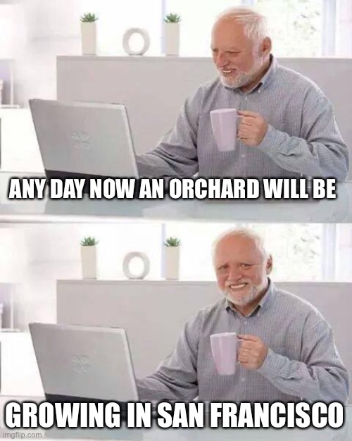 Hide the Pain Harold Meme | ANY DAY NOW AN ORCHARD WILL BE GROWING IN SAN FRANCISCO | image tagged in memes,hide the pain harold | made w/ Imgflip meme maker