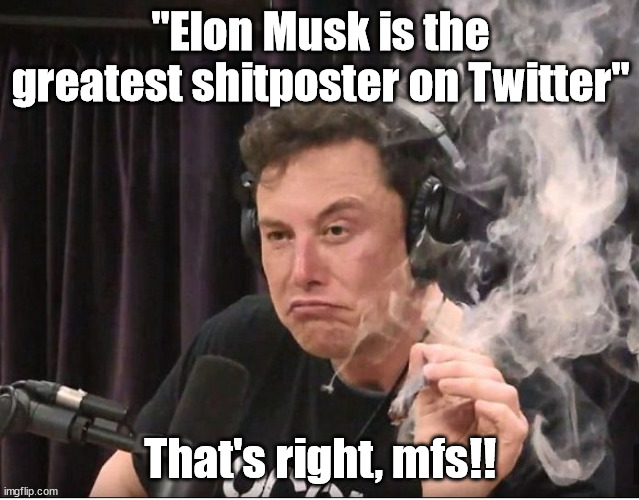 Elon Musk, the shitposter | "Elon Musk is the greatest shitposter on Twitter"; That's right, mfs!! | image tagged in elon musk smoking a joint | made w/ Imgflip meme maker