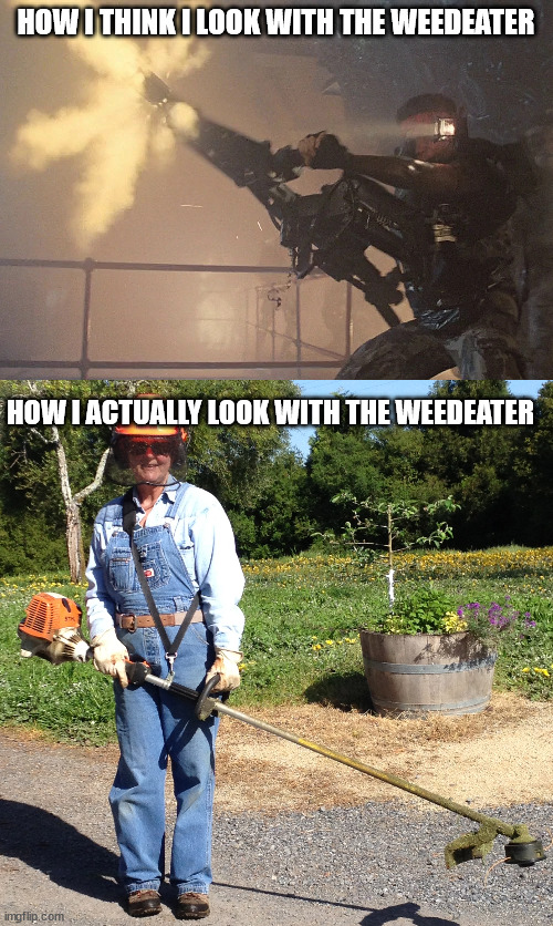 Backyard reality | HOW I THINK I LOOK WITH THE WEEDEATER; HOW I ACTUALLY LOOK WITH THE WEEDEATER | image tagged in vazquez firing,weedeater | made w/ Imgflip meme maker
