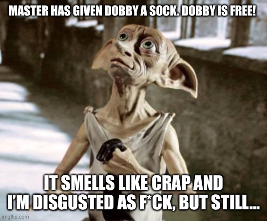 What Dobby should have said | MASTER HAS GIVEN DOBBY A SOCK. DOBBY IS FREE! IT SMELLS LIKE CRAP AND I’M DISGUSTED AS F*CK, BUT STILL… | image tagged in dobby | made w/ Imgflip meme maker