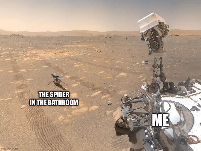THE SPIDER IN THE BATHROOM; ME | image tagged in perseverance,ingenuity | made w/ Imgflip meme maker