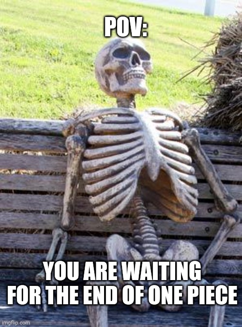 Waiting Skeleton Meme | POV:; YOU ARE WAITING FOR THE END OF ONE PIECE | image tagged in memes,waiting skeleton,one piece | made w/ Imgflip meme maker