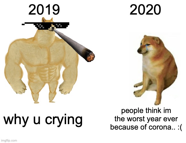 2019 be like | 2019; 2020; why u crying; people think im the worst year ever because of corona.. :( | image tagged in memes,buff doge vs cheems | made w/ Imgflip meme maker