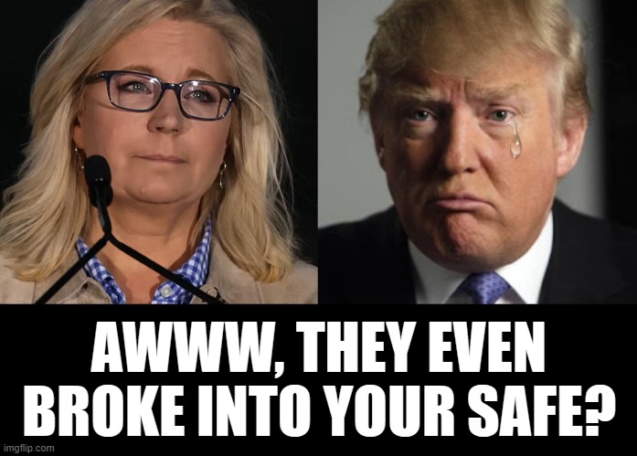 AWWWWWWWWWWWWWWWWWW!!! | AWWW, THEY EVEN BROKE INTO YOUR SAFE? | image tagged in sad trump,liz cheney,aww,broke,in,safe | made w/ Imgflip meme maker