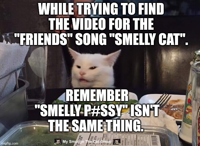 WHILE TRYING TO FIND THE VIDEO FOR THE "FRIENDS" SONG "SMELLY CAT". REMEMBER "SMELLY P#SSY" ISN'T THE SAME THING. | image tagged in smudge the cat | made w/ Imgflip meme maker