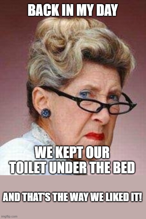 Simpler Times 6 | BACK IN MY DAY; WE KEPT OUR TOILET UNDER THE BED; AND THAT'S THE WAY WE LIKED IT! | image tagged in back in my day lady,memes,dark humor,funny,lol,toilets | made w/ Imgflip meme maker