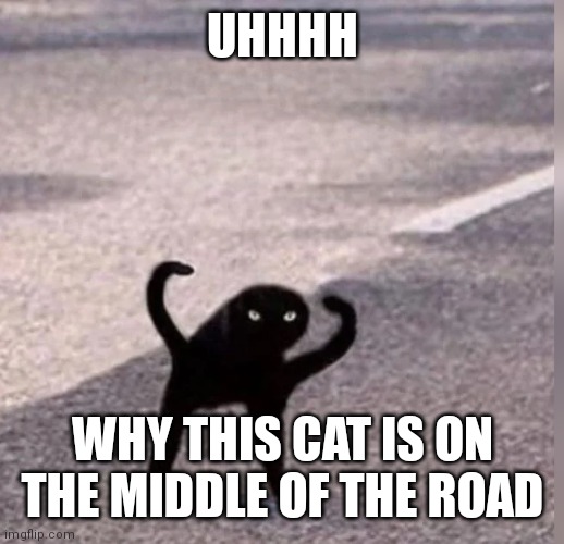 Cursed Cat | UHHHH; WHY THIS CAT IS ON THE MIDDLE OF THE ROAD | image tagged in cursed cat | made w/ Imgflip meme maker