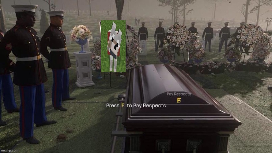 Press F to Pay Respects | image tagged in press f to pay respects | made w/ Imgflip meme maker