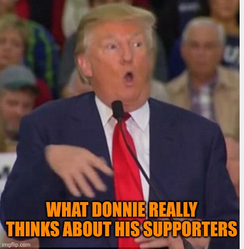 For once, he is right | WHAT DONNIE REALLY THINKS ABOUT HIS SUPPORTERS | image tagged in donald trump tho | made w/ Imgflip meme maker