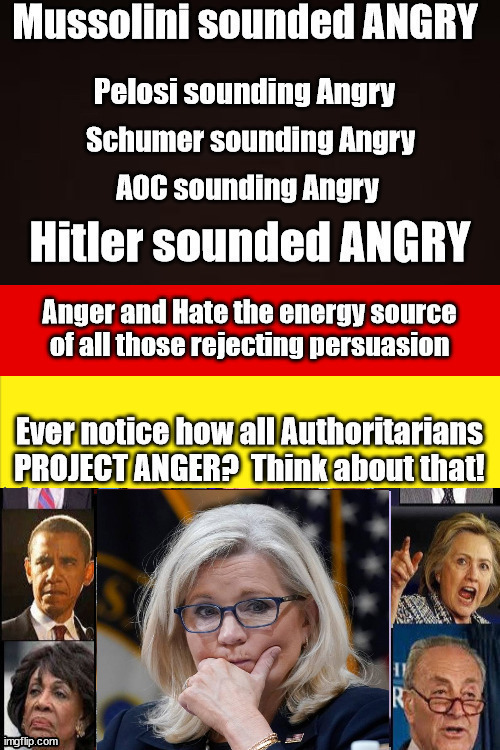 Angry Liz Chaney...Democrats Incarnate | image tagged in angry,tds,trump,chaney,democrats,evil | made w/ Imgflip meme maker
