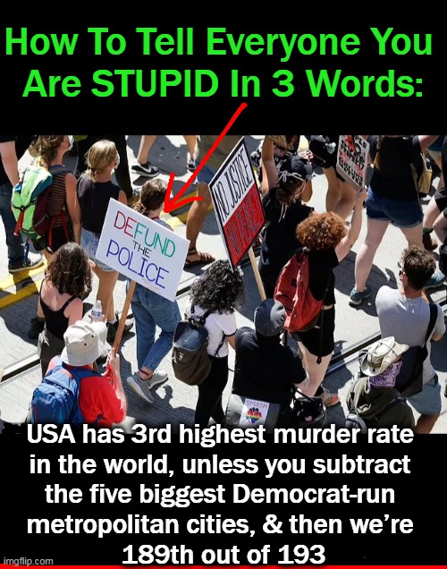 EVIL INTENT to hire 87,000 more IRS officers but not 87,000 more police officers . . . | How To Tell Everyone You 
Are STUPID In 3 Words:; USA has 3rd highest murder rate 
in the world, unless you subtract 
the five biggest Democrat-run 
metropolitan cities, & then we’re 
189th out of 193 | image tagged in politics,democrats,evil,police,law and order,criminal chaos | made w/ Imgflip meme maker