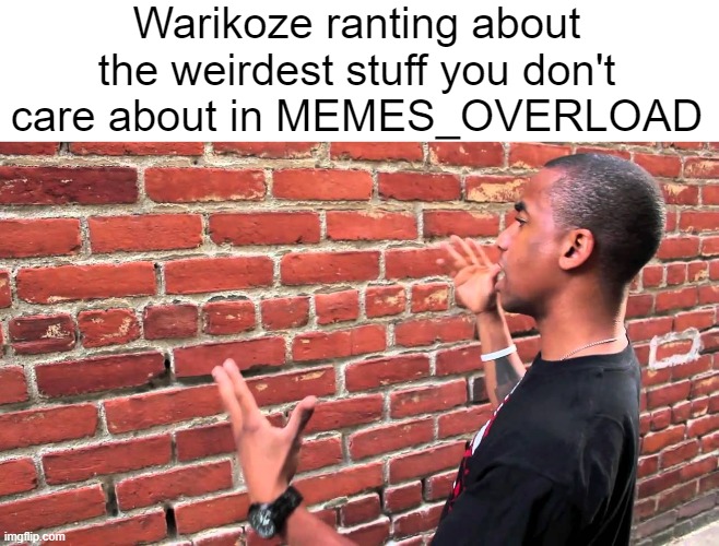 Talking to wall | Warikoze ranting about the weirdest stuff you don't care about in MEMES_OVERLOAD | image tagged in talking to wall | made w/ Imgflip meme maker