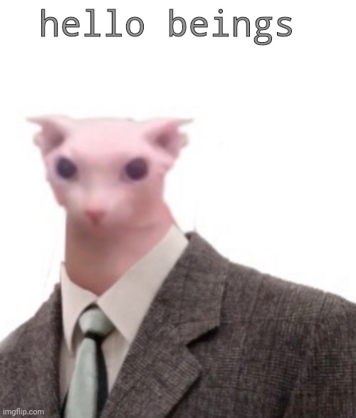 bingus | hello beings | image tagged in bingus | made w/ Imgflip meme maker