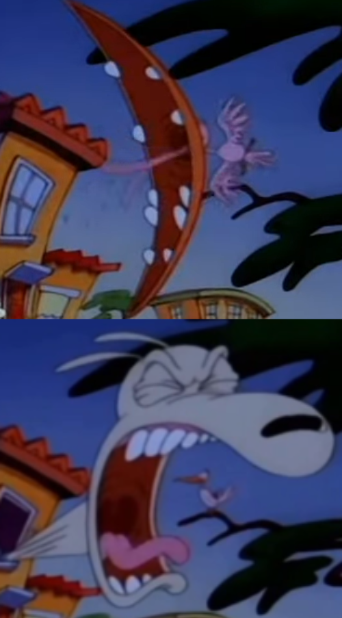 High Quality Rocko yells at the bird back Blank Meme Template
