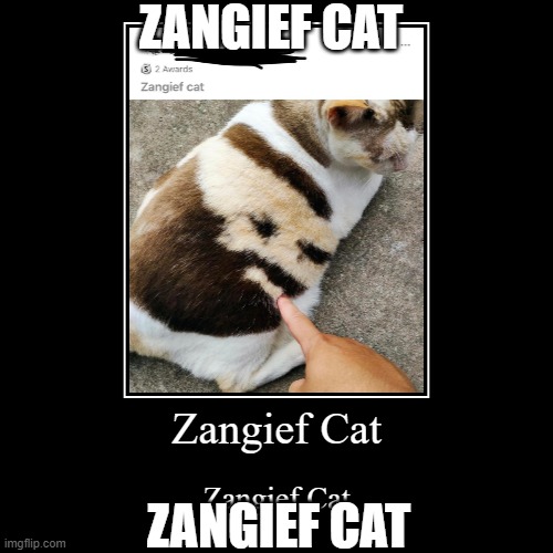 Zangief Cat | ZANGIEF CAT; ZANGIEF CAT | made w/ Imgflip meme maker