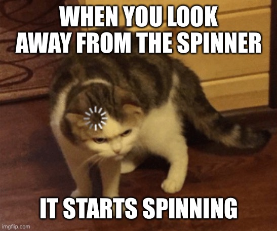 Optical illusion | WHEN YOU LOOK AWAY FROM THE SPINNER; IT STARTS SPINNING | image tagged in lag cat | made w/ Imgflip meme maker