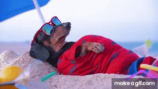 Sausage Sunbathing Blank Meme Template
