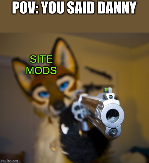 pov: you said danny | POV: YOU SAID DANNY; SITE MODS | image tagged in furry with gun | made w/ Imgflip meme maker