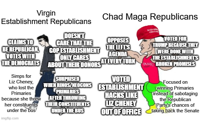 Virgin vs Chad | Chad Maga Republicans; Virgin Establishment Republicans; DOESN'T CARE THAT THE GOP ESTABLISHMENT ONLY CARES ABOUT THEIR DONORS; CLAIMS TO BE REPUBLICAN, VOTES WITH THE DEMOCRATS; VOTED FOR TRUMP BECAUSE THEY WERE DONE WITH THE ESTABLISHMENT'S BROKEN PROMISES; OPPOSES THE LEFT'S AGENDA AT EVERY TURN; Simps for Liz Cheney, who lost the Primaries because she threw her constituents under the bus; SURPRISED WHEN RINOS/NEOCONS PRIMARIES AFTER THROWING THEIR CONSTITUENTS UNDER THE BUS; VOTED ESTABLISHMENT HACKS LIKE LIZ CHENEY OUT OF OFFICE; Focused on winning Primaries instead of sabotaging the Republican Party's chances of taking back the Senate | image tagged in virgin vs chad | made w/ Imgflip meme maker